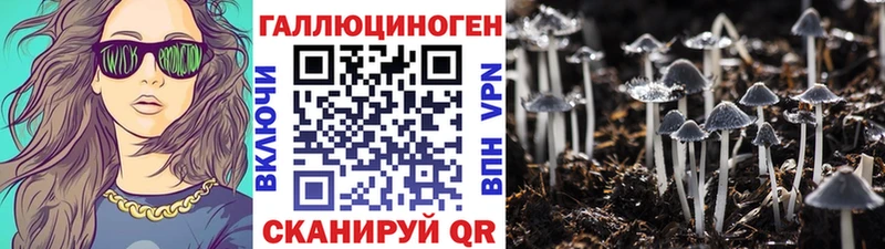 Псилоцибиновые грибы прущие грибы  Жуковский 